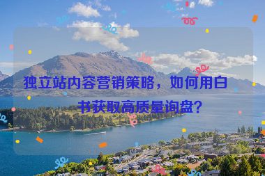 獨立站內容營銷策略，如何用白皮書獲取高質量詢盤？