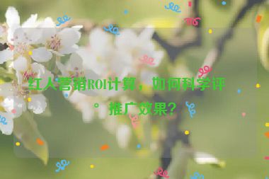 紅人營銷ROI計算，如何科學評估推廣效果？