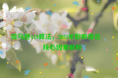 亞馬遜A10算法，2024年影響排名的核心因素解析