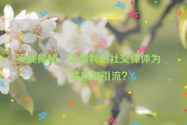 實戰(zhàn)揭秘，如何利用社交媒體為網(wǎng)站精準(zhǔn)引流？