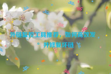 外鏈監(jiān)控工具推薦，如何高效發(fā)現(xiàn)并修復(fù)壞鏈