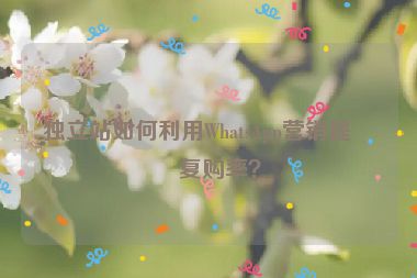 獨立站如何利用WhatsApp營銷提升復購率？