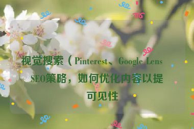 視覺搜索（Pinterest、Google Lens）SEO策略，如何優(yōu)化內(nèi)容以提升可見性