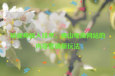 短視頻嵌入技術，佛山電商網(wǎng)站的內(nèi)容營銷新玩法