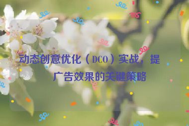動態(tài)創(chuàng)意優(yōu)化（DCO）實戰(zhàn)，提升廣告效果的關(guān)鍵策略