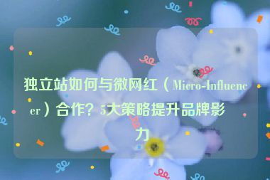 獨立站如何與微網(wǎng)紅（Micro-Influencer）合作？5大策略提升品牌影響力