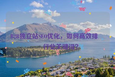 B2B獨立站SEO優(yōu)化，如何高效排名行業(yè)關鍵詞？