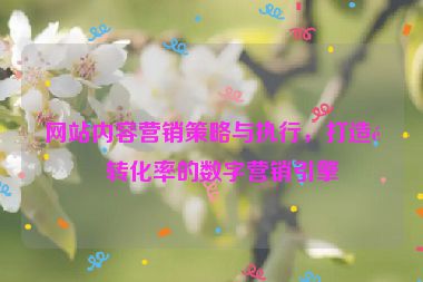 網站內容營銷策略與執(zhí)行，打造高轉化率的數字營銷引擎