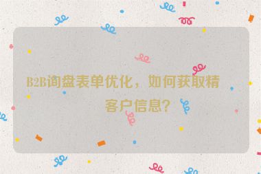 B2B詢盤表單優(yōu)化，如何獲取精準(zhǔn)客戶信息？
