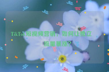 TikTok短視頻營銷，如何讓獨立站流量暴漲？