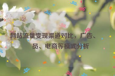 網(wǎng)站流量變現(xiàn)渠道對比，廣告、會員、電商等模式分析
