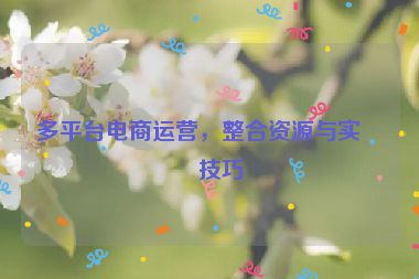 多平臺(tái)電商運(yùn)營(yíng)，整合資源與實(shí)戰(zhàn)技巧