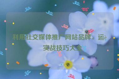利用社交媒體推廣網(wǎng)站品牌，運(yùn)營實(shí)戰(zhàn)技巧大全