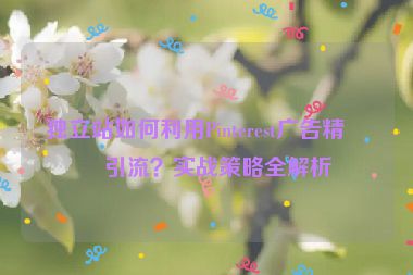 獨(dú)立站如何利用Pinterest廣告精準(zhǔn)引流？實(shí)戰(zhàn)策略全解析