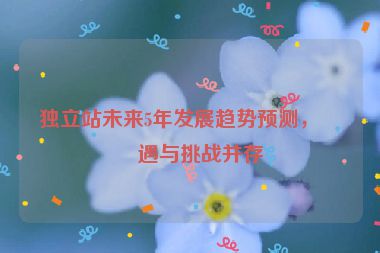 獨(dú)立站未來5年發(fā)展趨勢預(yù)測，機(jī)遇與挑戰(zhàn)并存