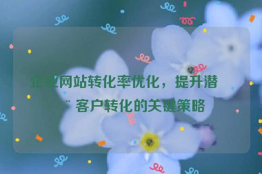 企業(yè)網(wǎng)站轉(zhuǎn)化率優(yōu)化，提升潛在客戶轉(zhuǎn)化的關鍵策略