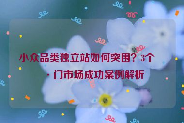 小眾品類獨立站如何突圍？3個冷門市場成功案例解析