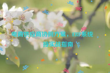 電商供應(yīng)商協(xié)同方案，ERP系統(tǒng)對(duì)接實(shí)戰(zhàn)指南