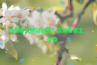 如何監(jiān)控網(wǎng)站宕機(jī)？自動(dòng)告警工具推薦