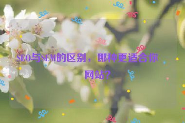 SEO與SEM的區(qū)別，哪種更適合你的網站？