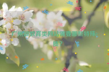 廣州做教育類網(wǎng)站需要哪些特殊資質(zhì)？