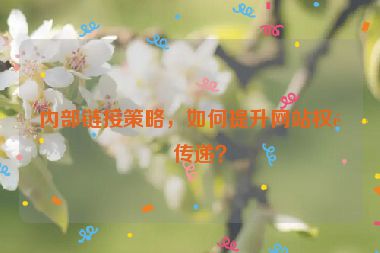 內(nèi)部鏈接策略，如何提升網(wǎng)站權(quán)重傳遞？
