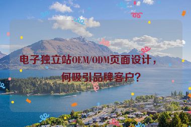電子獨立站OEM/ODM頁面設(shè)計，如何吸引品牌客戶？