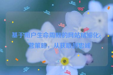 基于用戶生命周期的網(wǎng)站精細(xì)化運(yùn)營(yíng)策略，從獲取到忠誠(chéng)
