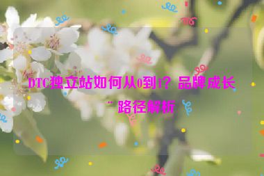 DTC獨立站如何從0到1？品牌成長全路徑解析