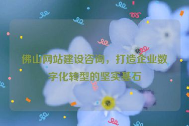 佛山網(wǎng)站建設(shè)咨詢，打造企業(yè)數(shù)字化轉(zhuǎn)型的堅實基石