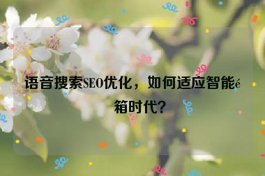 語(yǔ)音搜索SEO優(yōu)化，如何適應(yīng)智能音箱時(shí)代？