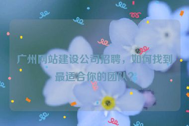 廣州網(wǎng)站建設(shè)公司招聘，如何找到最適合你的團(tuán)隊(duì)？