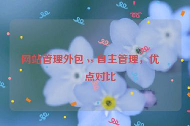 網(wǎng)站管理外包 vs 自主管理，優(yōu)缺點(diǎn)對(duì)比