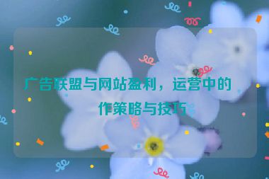 廣告聯(lián)盟與網(wǎng)站盈利，運營中的合作策略與技巧