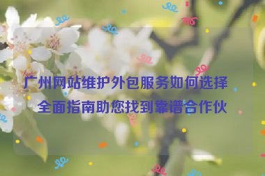 廣州網(wǎng)站維護外包服務(wù)如何選擇？全面指南助您找到靠譜合作伙伴