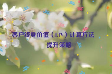 客戶終身價值（LTV）計(jì)算方法與提升策略