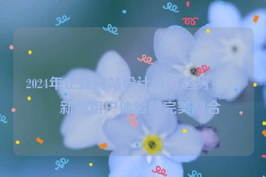 2024年企業(yè)網(wǎng)站設計流行趨勢，創(chuàng)新與用戶體驗的完美融合