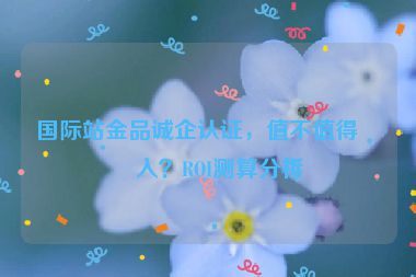 國際站金品誠企認(rèn)證，值不值得投入？ROI測算分析