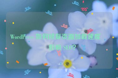 WordPress 如何修復(fù)頁面加載速度慢影響 SEO？