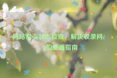 網(wǎng)站索引狀態(tài)檢查，解決收錄問題的全面指南