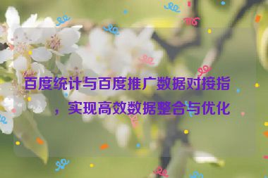 百度統(tǒng)計與百度推廣數(shù)據(jù)對接指南，實現(xiàn)高效數(shù)據(jù)整合與優(yōu)化