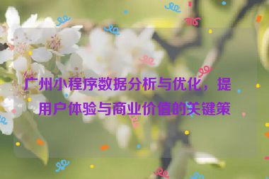 廣州小程序數(shù)據(jù)分析與優(yōu)化，提升用戶體驗(yàn)與商業(yè)價(jià)值的關(guān)鍵策略