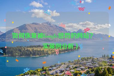 如何恢復(fù)被Google懲罰的網(wǎng)站？真實(shí)案例分析）