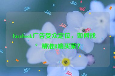 Facebook廣告受眾定位，如何找到精準(zhǔn)B端買家？