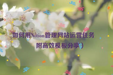 如何用Notion管理網(wǎng)站運(yùn)營(yíng)任務(wù)？附高效模板分享）