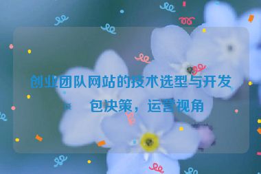 創(chuàng)業(yè)團隊網(wǎng)站的技術(shù)選型與開發(fā)外包決策，運營視角