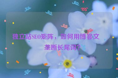 獨(dú)立站SEO矩陣，如何用博客文章壟斷長(zhǎng)尾詞？