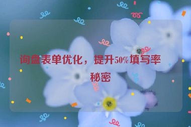 詢盤表單優(yōu)化，提升50%填寫率的秘密