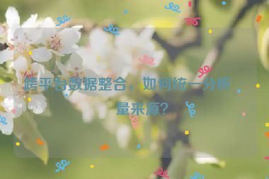 跨平臺數(shù)據(jù)整合，如何統(tǒng)一分析流量來源？
