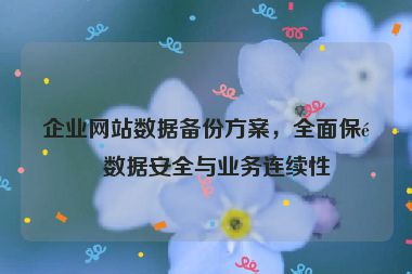 企業(yè)網(wǎng)站數(shù)據(jù)備份方案，全面保障數(shù)據(jù)安全與業(yè)務(wù)連續(xù)性